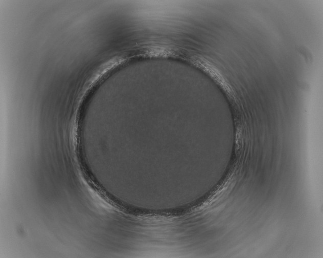 X0000111850722200908061314