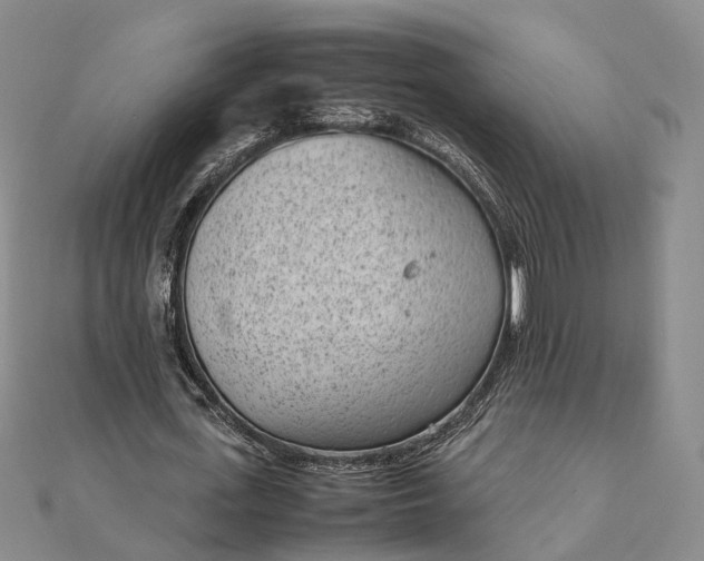 X0000111850723200908061314