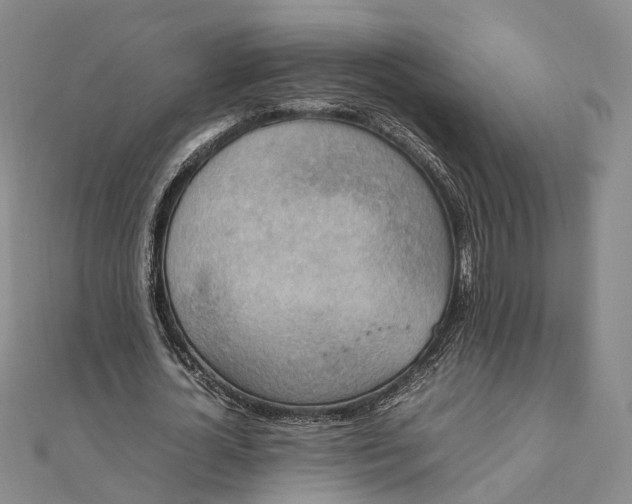 X0000111850724200908061314