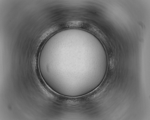 X0000111850725200908061314