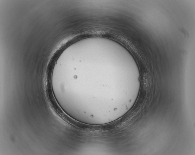 X0000111850726200908061314