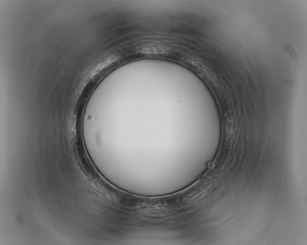 X0000111850727200908061314