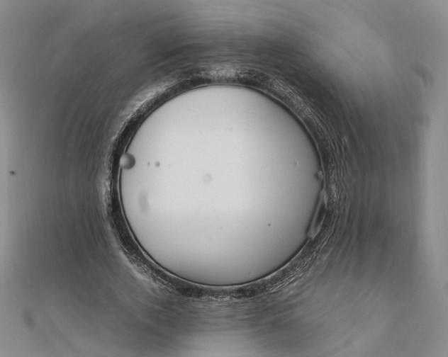 X0000111850728200908061314