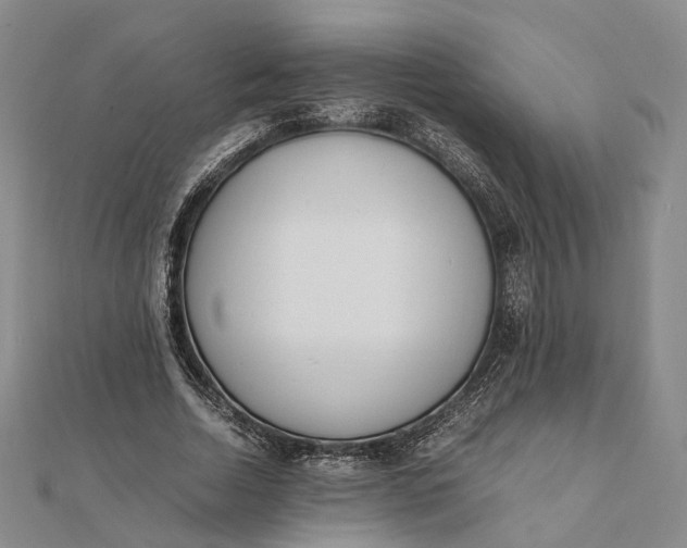 X0000111850730200908061314