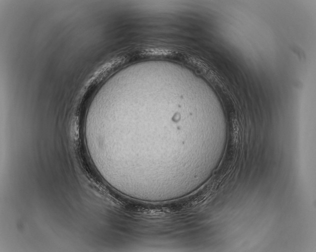 X0000111850731200908061314