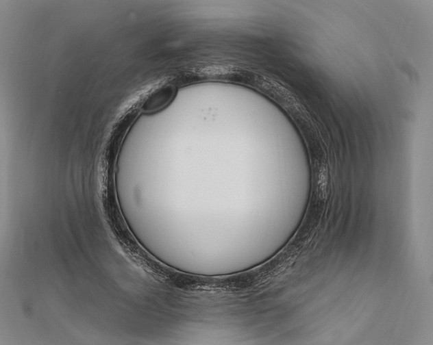 X0000111850732200908061314