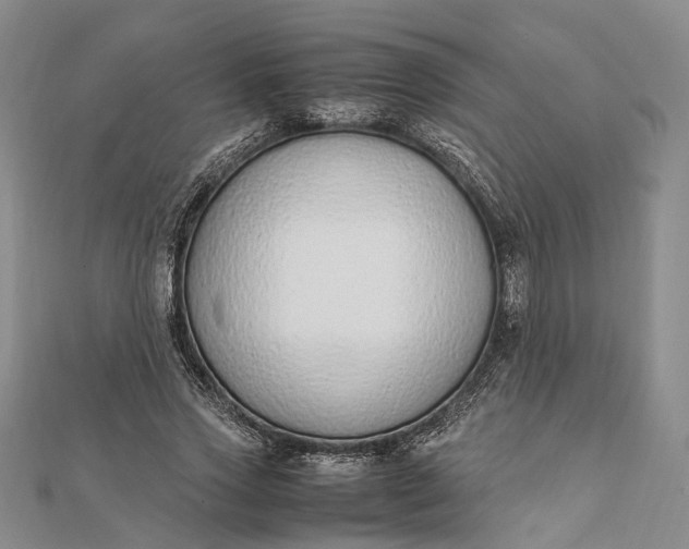 X0000111850733200908061314