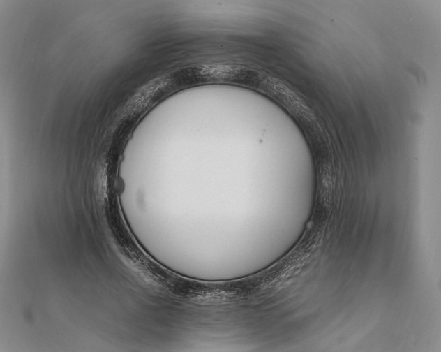 X0000111850734200908061314