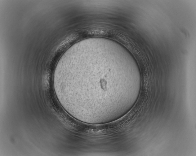 X0000111850735200908061314