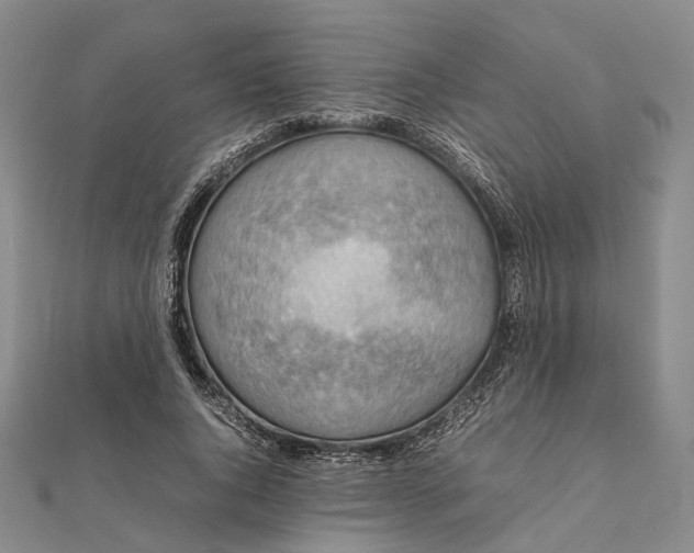 X0000111850736200908061314