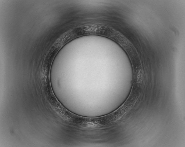 X0000111850737200908061314