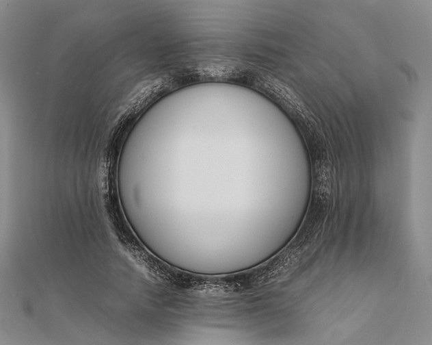 X0000111850738200908061314