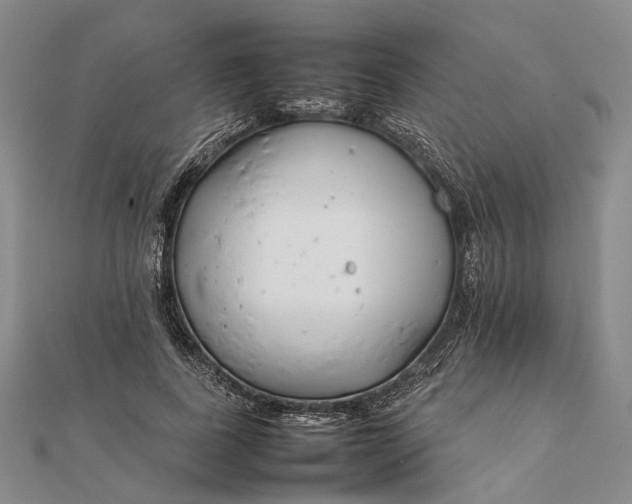 X0000111850739200908061314