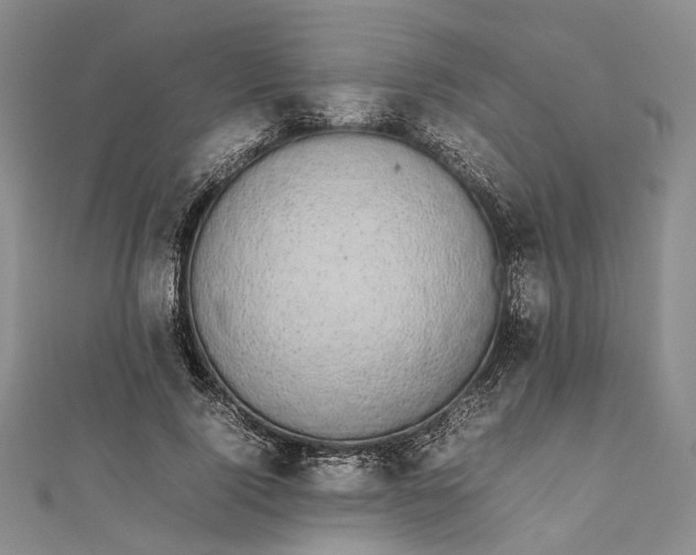 X0000111850740200908061314