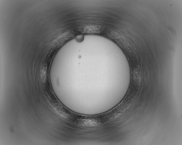 X0000111850741200908061314