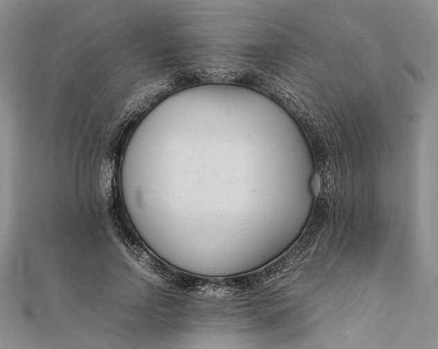 X0000111850742200908061314