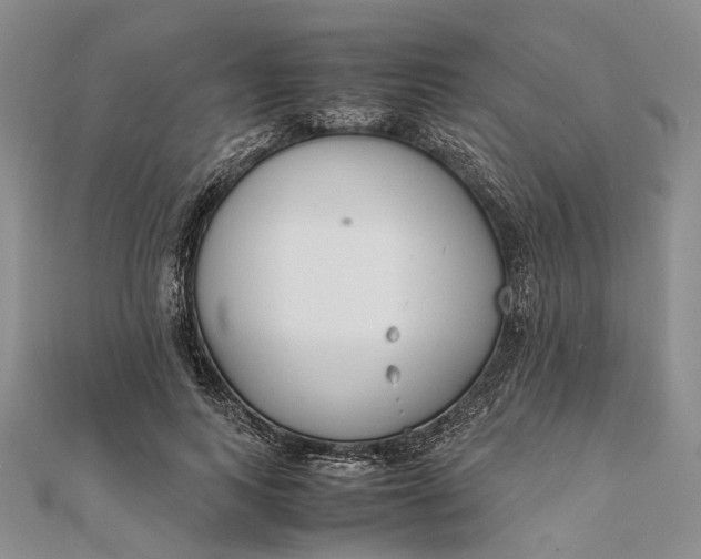 X0000111850743200908061314