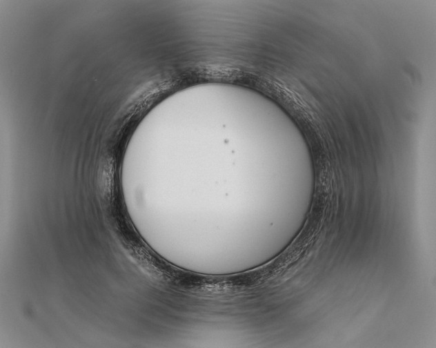 X0000111850744200908061314