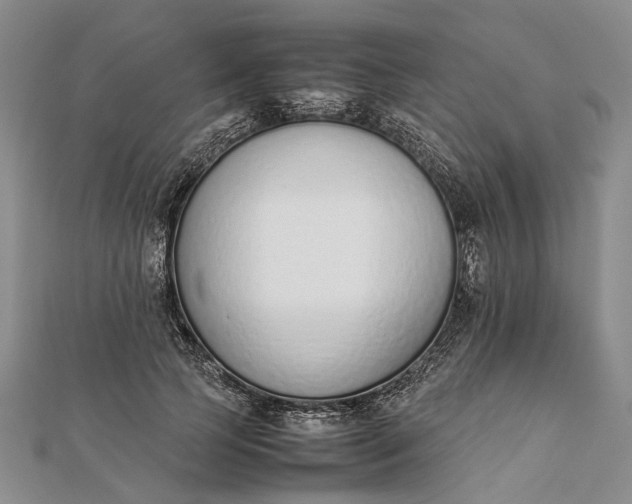 X0000111850745200908061314