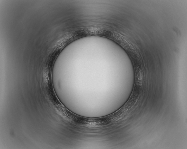 X0000111850746200908061314