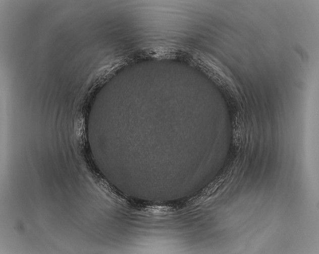 X0000111850748200908061314