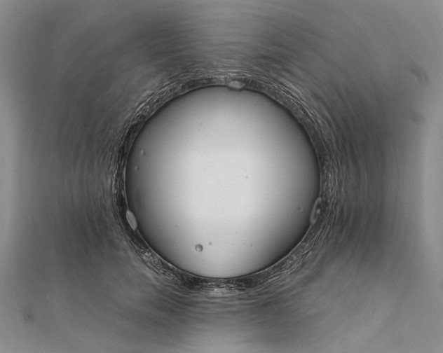 X0000111850750200908061314