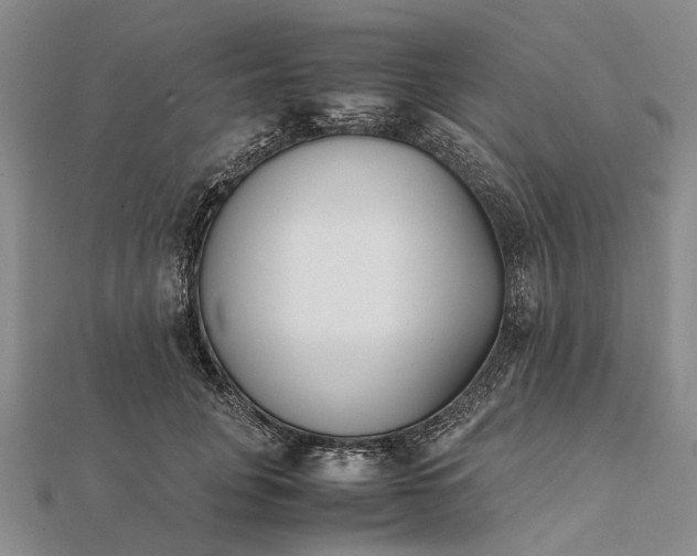 X0000111850751200908061314