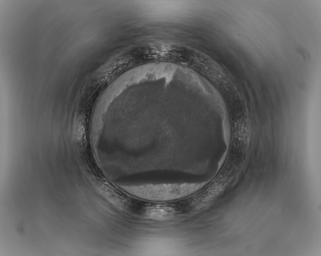 X0000111850754200908061314