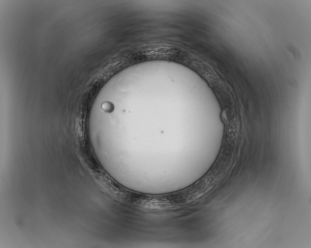 X0000111850755200908061314