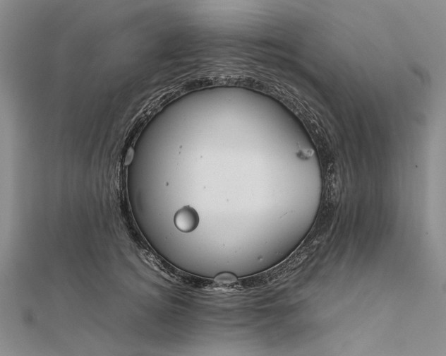 X0000111850756200908061314