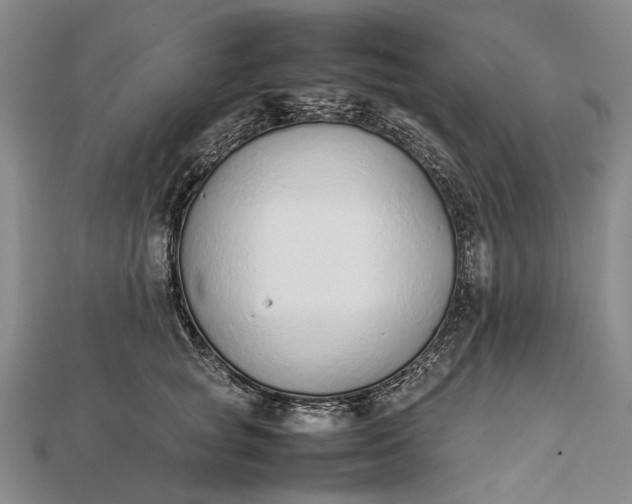 X0000111850757200908061314