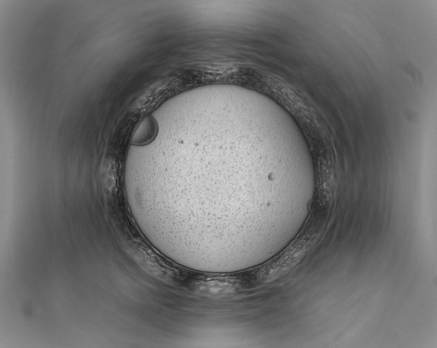 X0000111850758200908061314