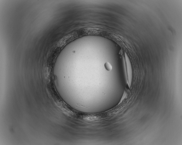 X0000111850759200908061314