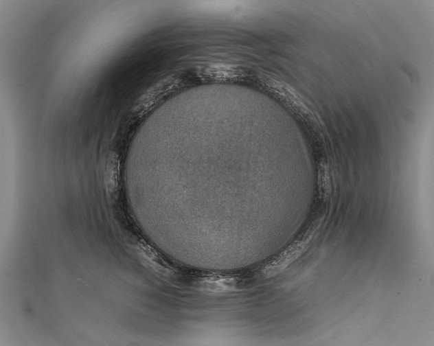 X0000111850760200908061314