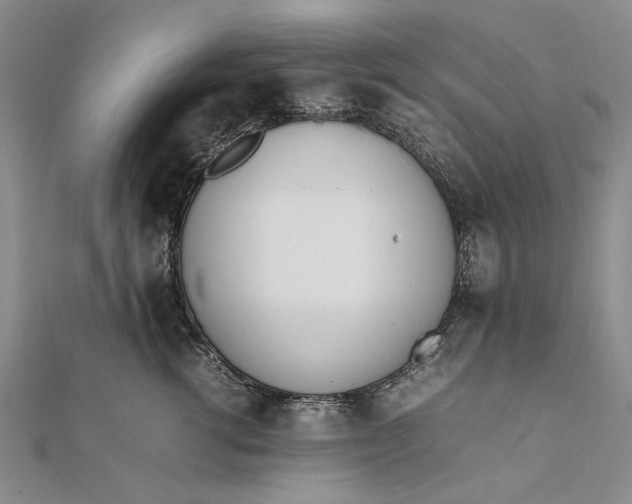 X0000111850762200908061314