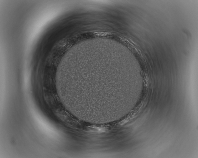 X0000111850763200908061314