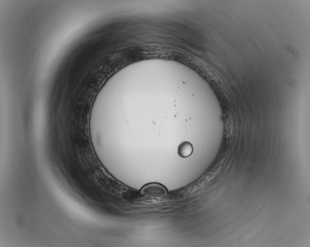 X0000111850764200908061314