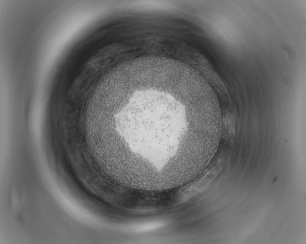 X0000111850765200908061314