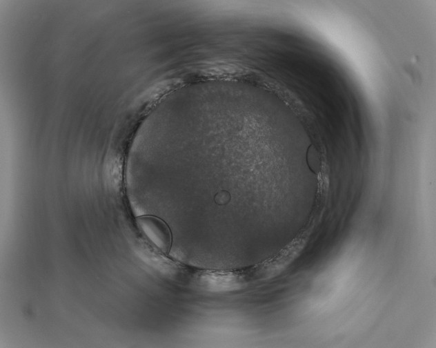 X0000111850767200908061314