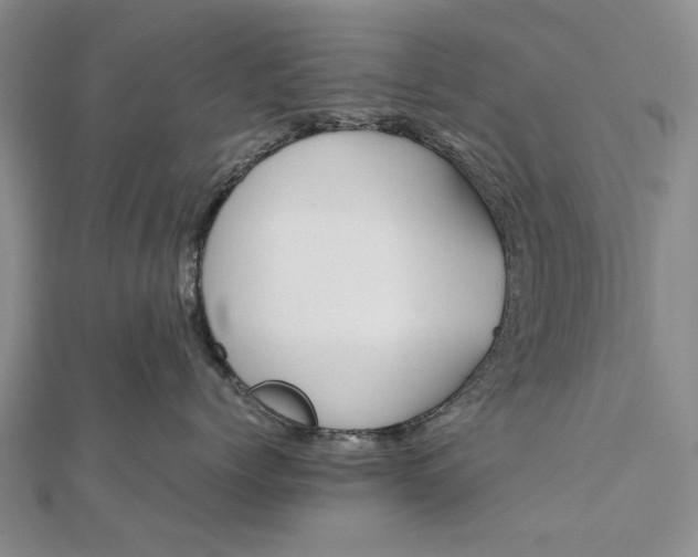 X0000111850768200908061314