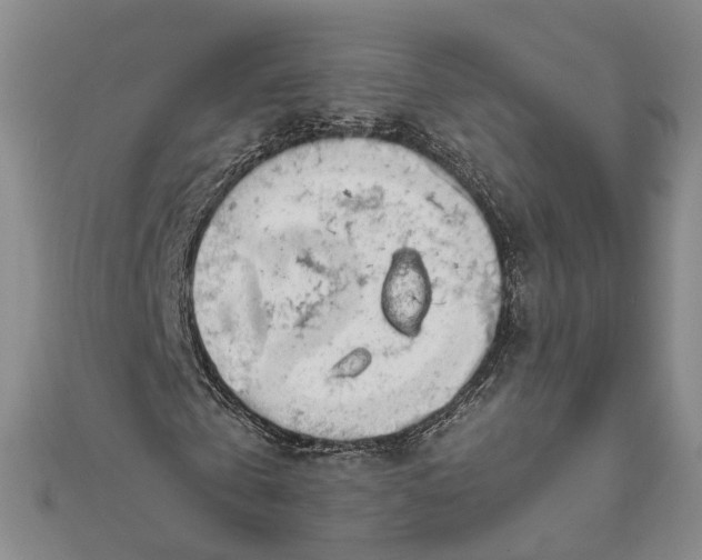 X0000111850769200908061314