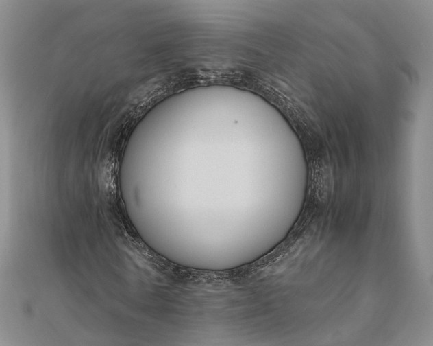 X0000111850770200908061314