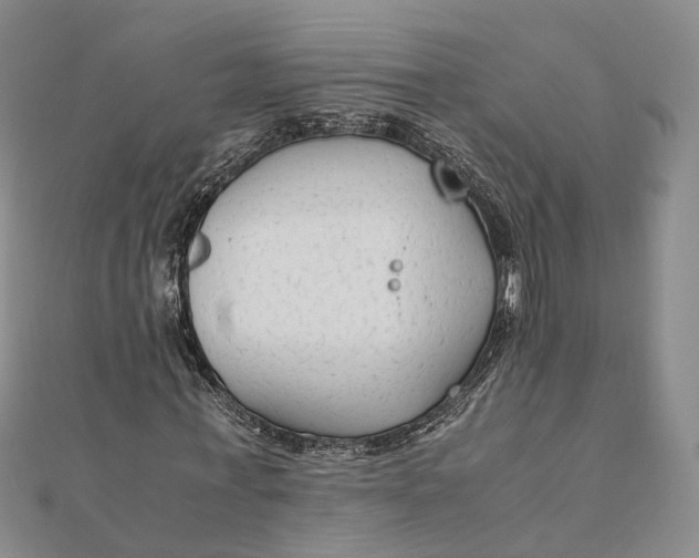 X0000111850771200908061314