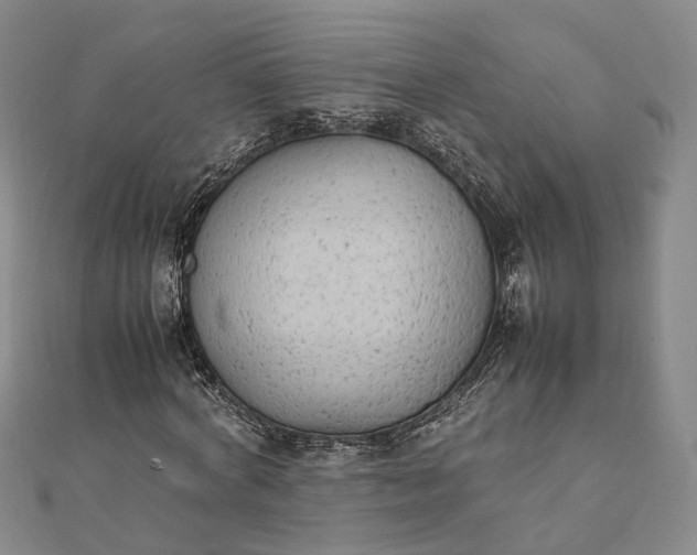 X0000111850772200908061313