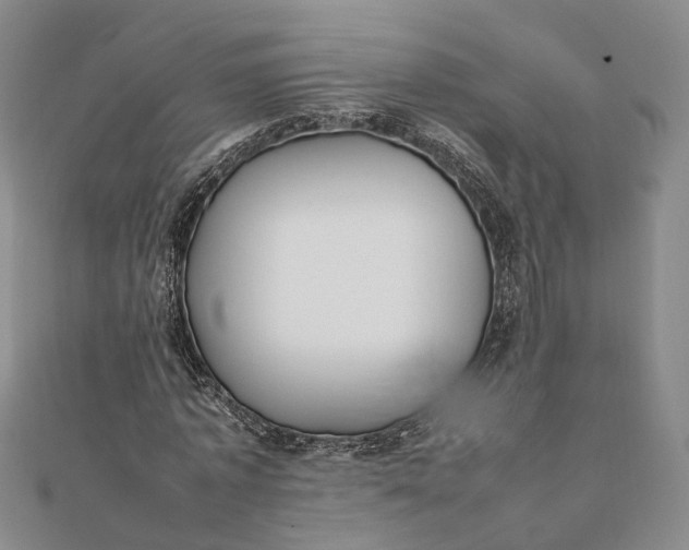 X0000111850773200908061313