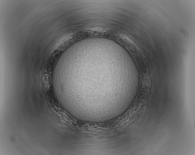 X0000111850774200908061313