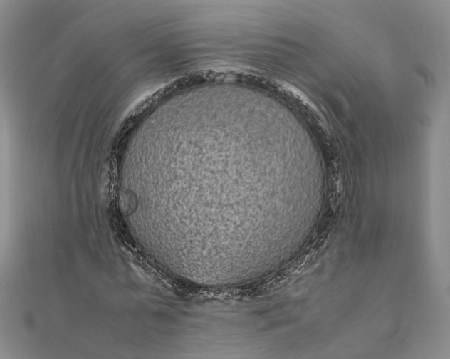 X0000111850775200908061313