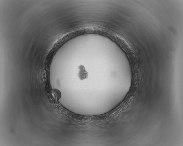 X0000111850776200908061313