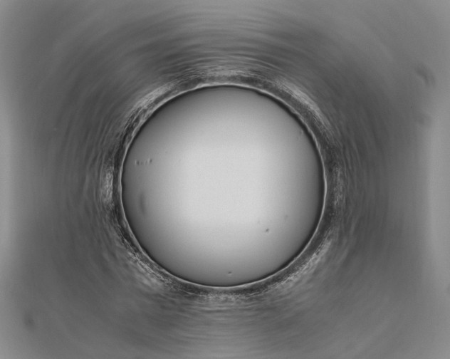 X0000111850777200908061313