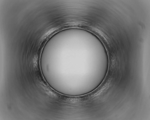 X0000111850778200908061313